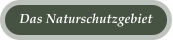 Das Naturschutzgebiet